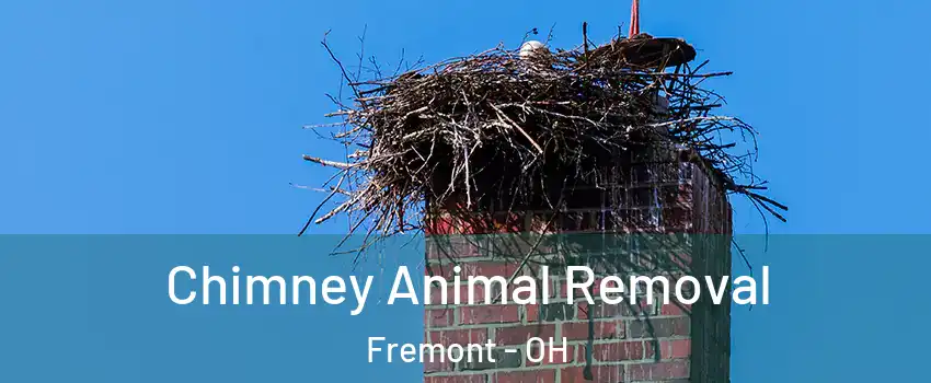  Chimney Animal Removal Fremont - OH