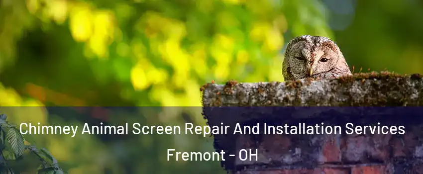  Chimney Animal Screen Repair And Installation Services Fremont - OH