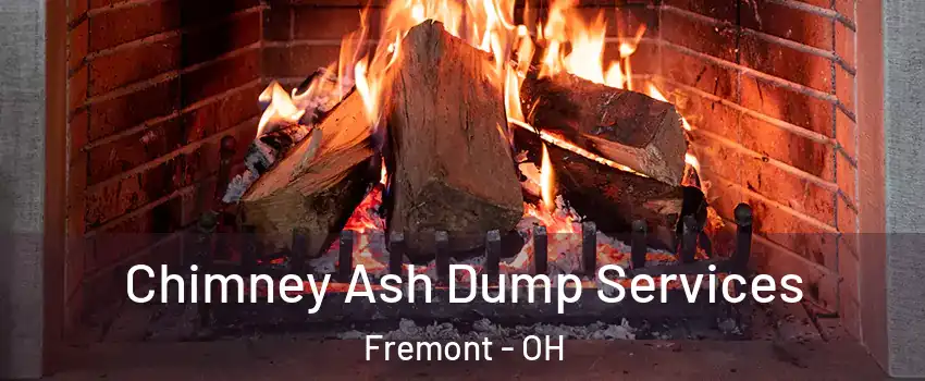  Chimney Ash Dump Services Fremont - OH