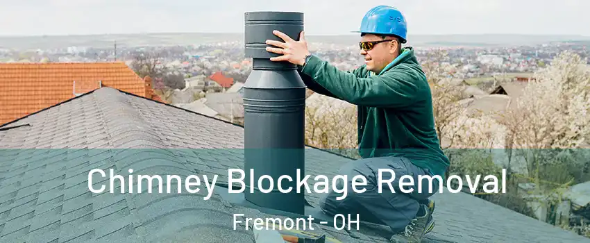 Chimney Blockage Removal Fremont - OH