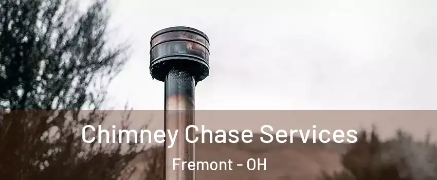 Chimney Chase Services Fremont - OH