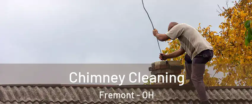  Chimney Cleaning Fremont - OH