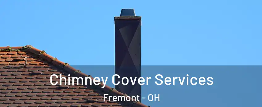  Chimney Cover Services Fremont - OH