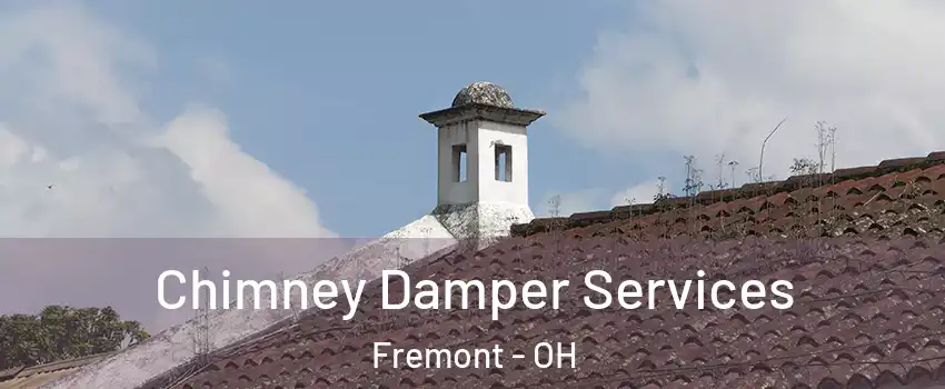  Chimney Damper Services Fremont - OH