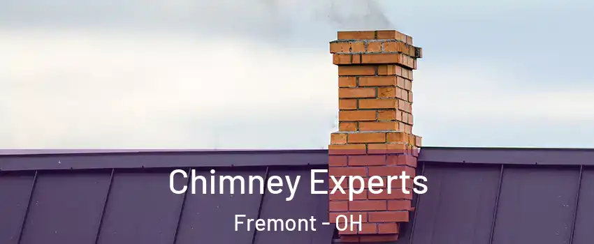  Chimney Experts Fremont - OH