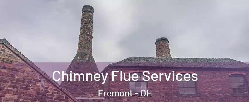  Chimney Flue Services Fremont - OH