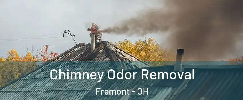  Chimney Odor Removal Fremont - OH