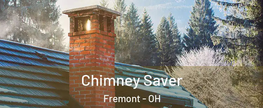  Chimney Saver Fremont - OH