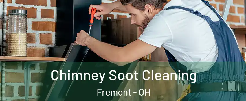  Chimney Soot Cleaning Fremont - OH