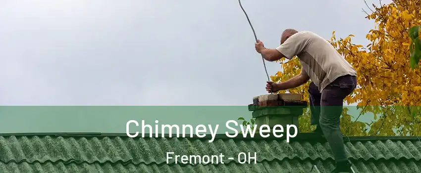  Chimney Sweep Fremont - OH