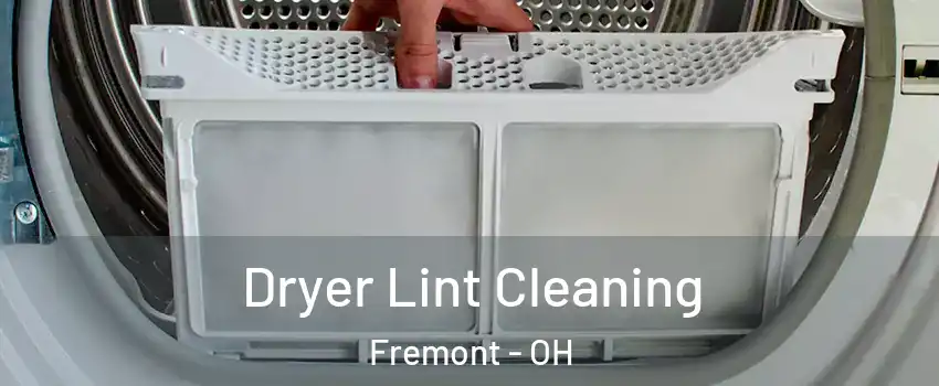 Dryer Lint Cleaning Fremont - OH