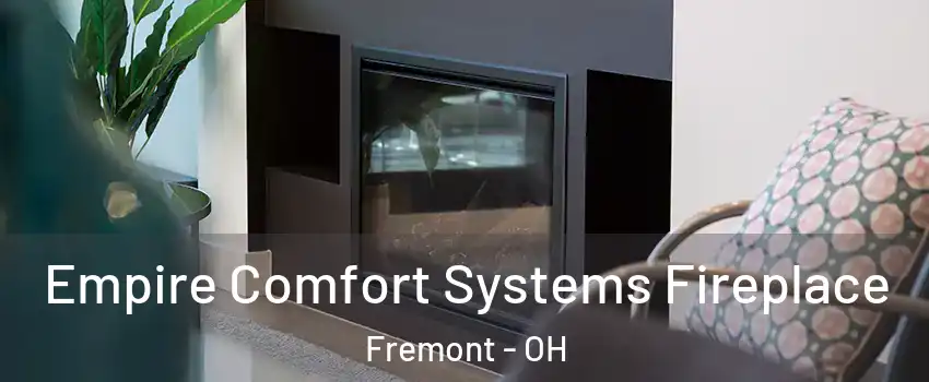  Empire Comfort Systems Fireplace Fremont - OH