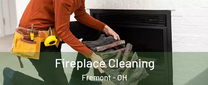  Fireplace Cleaning Fremont - OH