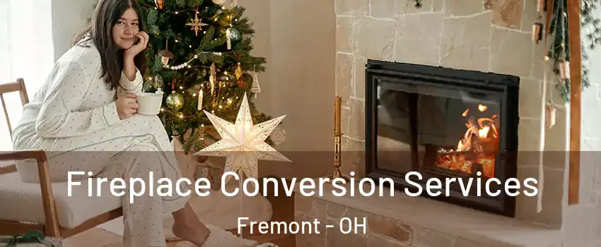 Fireplace Conversion Services Fremont - OH