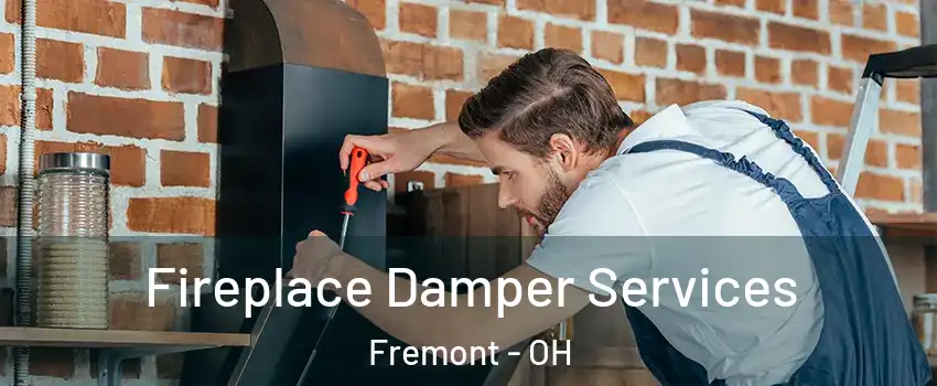 Fireplace Damper Services Fremont - OH