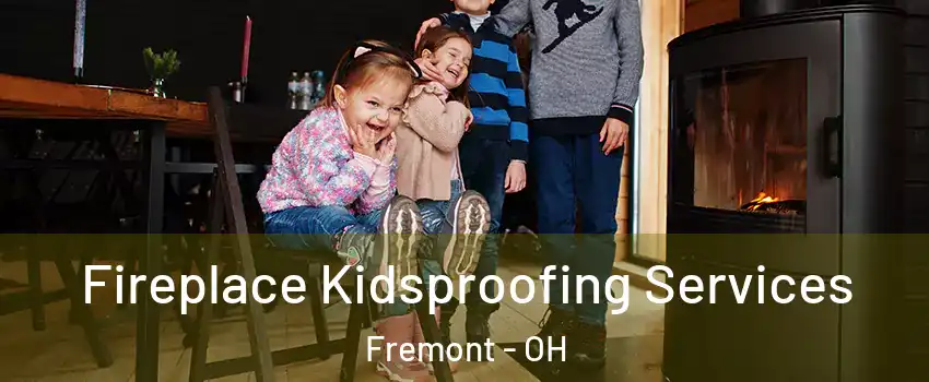  Fireplace Kidsproofing Services Fremont - OH