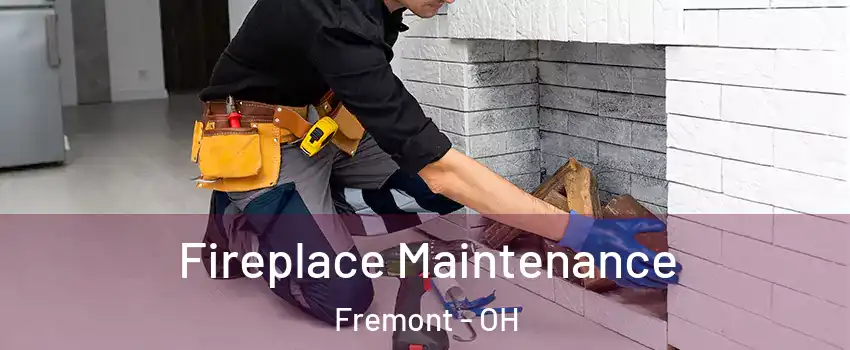 Fireplace Maintenance Fremont - OH
