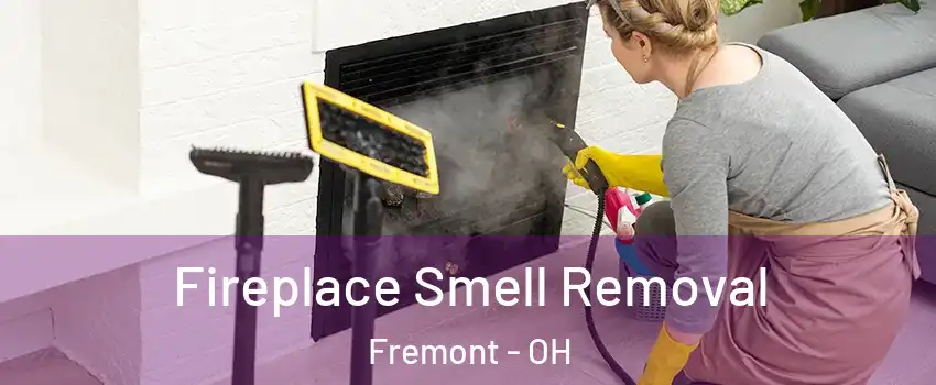  Fireplace Smell Removal Fremont - OH