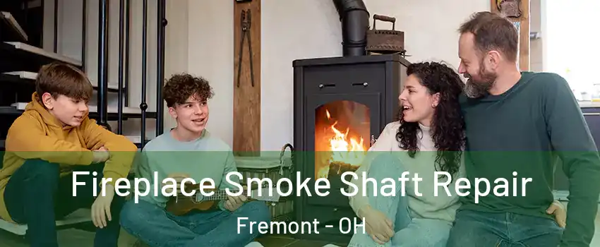  Fireplace Smoke Shaft Repair Fremont - OH