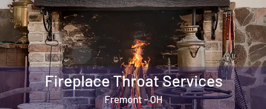  Fireplace Throat Services Fremont - OH