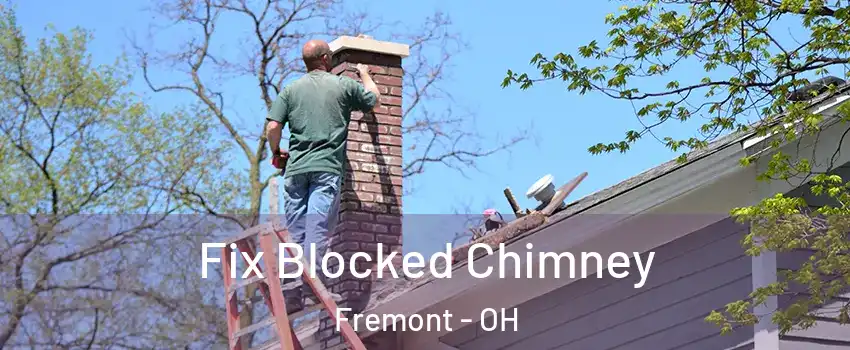  Fix Blocked Chimney Fremont - OH