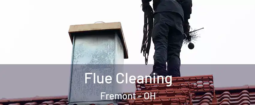  Flue Cleaning Fremont - OH