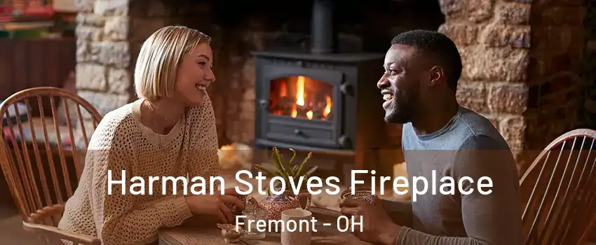  Harman Stoves Fireplace Fremont - OH
