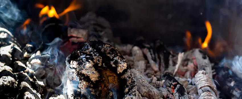 Creosote Removal Experts in Fremont, OH