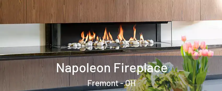  Napoleon Fireplace Fremont - OH