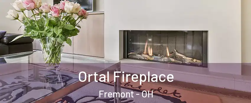  Ortal Fireplace Fremont - OH